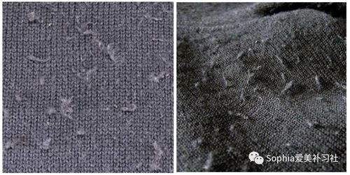 冬季衣服護理 我可再也不想洗壞衣服了